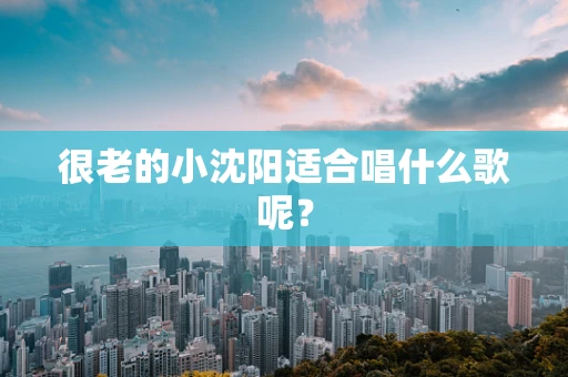 很老的小沈阳适合唱什么歌呢？