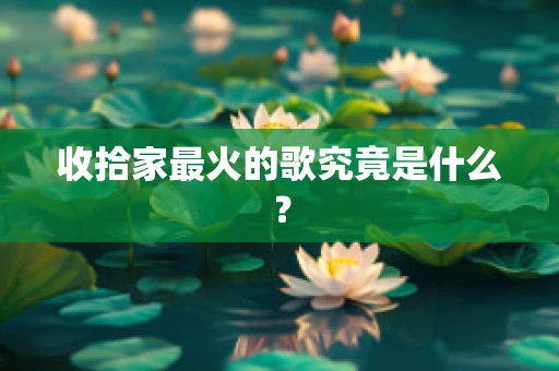 收拾家最火的歌究竟是什么？