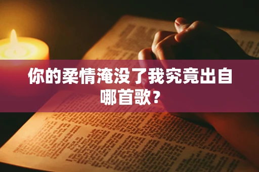 你的柔情淹没了我究竟出自哪首歌？