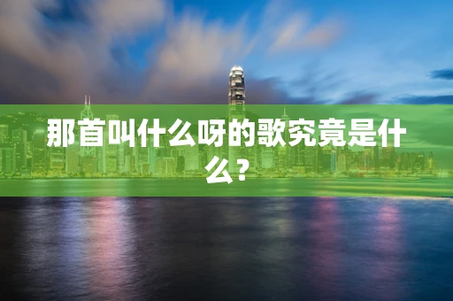 那首叫什么呀的歌究竟是什么？