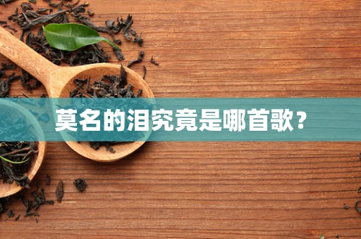 莫名的泪究竟是哪首歌？