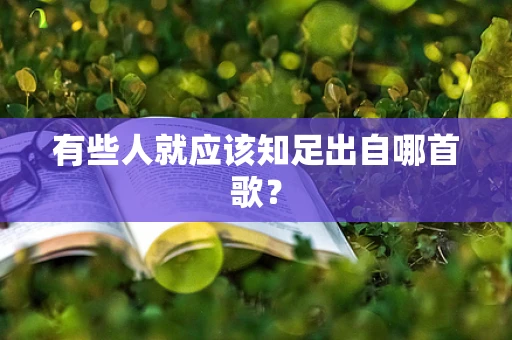 有些人就应该知足出自哪首歌？