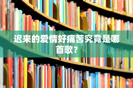 迟来的爱情好痛苦究竟是哪首歌？