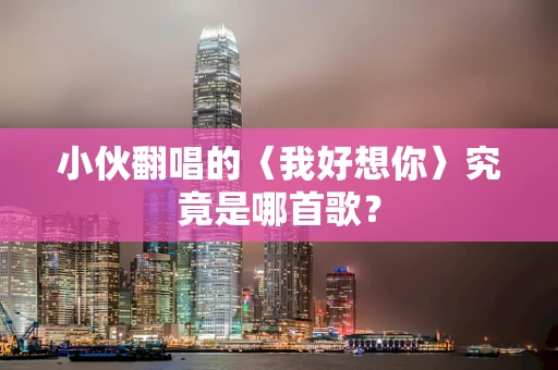 小伙翻唱的〈我好想你〉究竟是哪首歌？