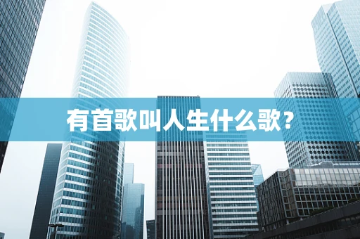 有首歌叫人生什么歌？