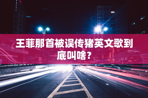 王菲那首被误传猪英文歌到底叫啥？