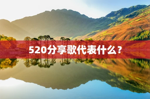 520分享歌代表什么？