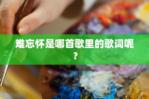 难忘怀是哪首歌里的歌词呢？
