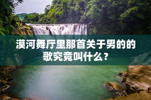 漠河舞厅里那首关于男的的歌究竟叫什么？