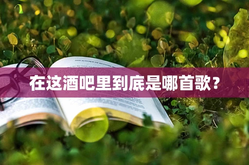 在这酒吧里到底是哪首歌？