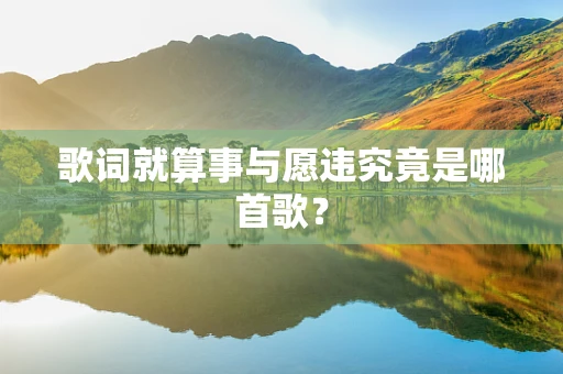 歌词就算事与愿违究竟是哪首歌？