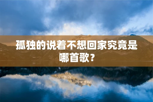 孤独的说着不想回家究竟是哪首歌？