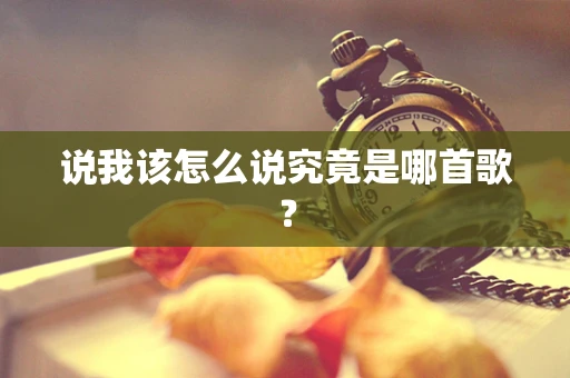 说我该怎么说究竟是哪首歌？