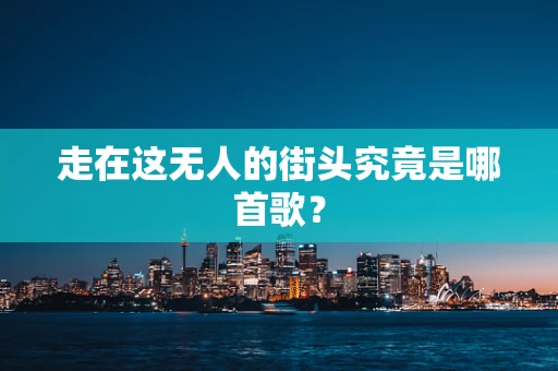 走在这无人的街头究竟是哪首歌？