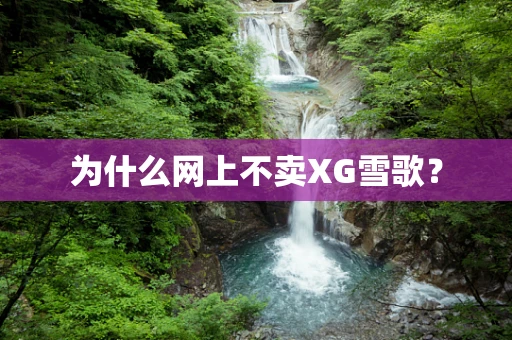 为什么网上不卖XG雪歌？