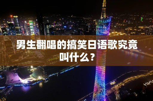 男生翻唱的搞笑日语歌究竟叫什么？