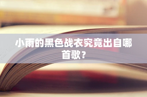 小雨的黑色战衣究竟出自哪首歌？