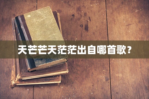 天芒芒天茫茫出自哪首歌？