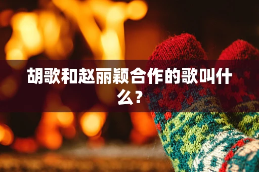 胡歌和赵丽颖合作的歌叫什么？