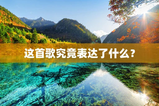 这首歌究竟表达了什么？