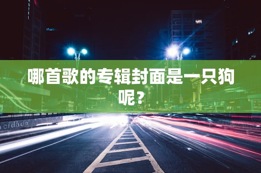 哪首歌的专辑封面是一只狗呢？
