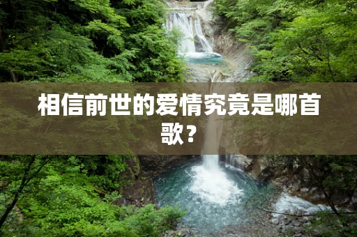 相信前世的爱情究竟是哪首歌？