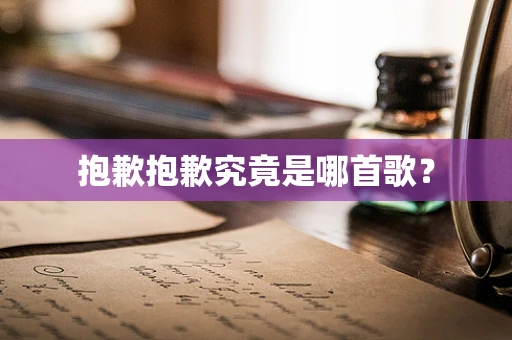 抱歉抱歉究竟是哪首歌？
