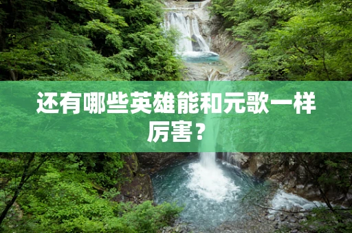 还有哪些英雄能和元歌一样厉害？