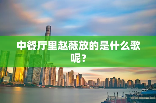 中餐厅里赵薇放的是什么歌呢？