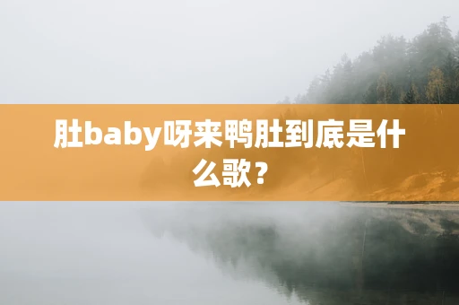 肚baby呀来鸭肚到底是什么歌？