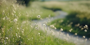 继续和我走出自哪首歌？