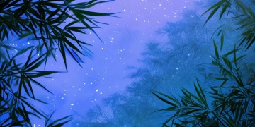 一点桑桑的粤语歌究竟是哪首？