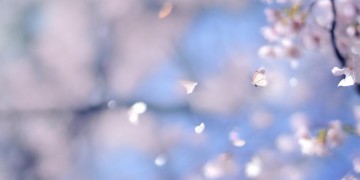 偶尔增添一点温柔究竟是哪首歌？