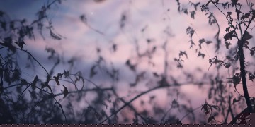 朽歌陨梦究竟是什么意思？