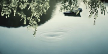 相逢换别离寻觅觅究竟是哪首歌？