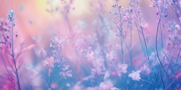 洒洒扒拉阿拉哇到底是什么歌？