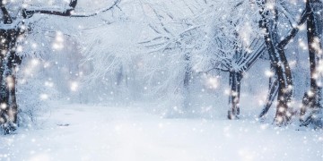时光里的冷雪究竟出自哪首歌？