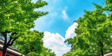 北京的夏天这句歌词出自哪首歌？