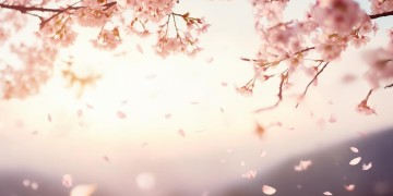 再也不想分离是哪首歌的歌词？