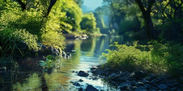 哪些歌曲能让人泪目却又勇往直前？