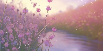 谁也不敢惹谁啊究竟是哪首歌？