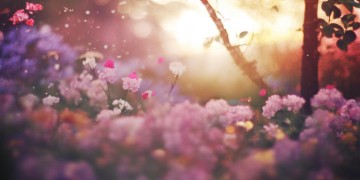 再见妈妈这句歌词出自哪首女生歌曲呢？