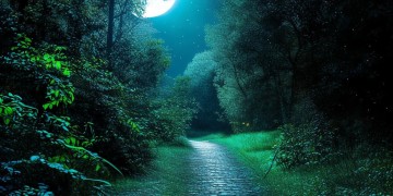 美丽的夜色下漫步到底是哪首歌？