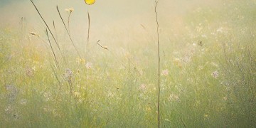 日子是什么什么什么究竟是哪首歌？