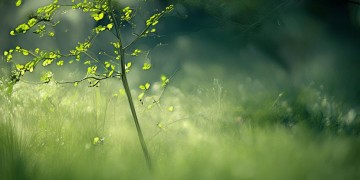 少年你模样究竟是哪首歌？