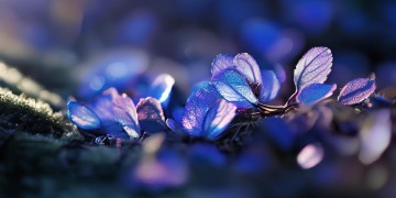 也曾因你回光出自哪首歌？