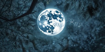 月亮依然挂天上究竟是什么歌？