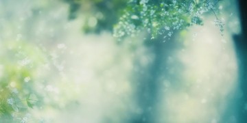 我们深深的祝福你究竟是哪首歌？