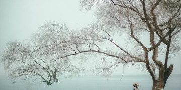 陕北妹子酒桌上常唱的歌究竟是什么？