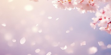 我也如此坚强究竟是哪首歌？
